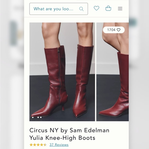 Sam Edelman Dark Wine Knee-High Brand New Boots in Box - Picture 2 of 12